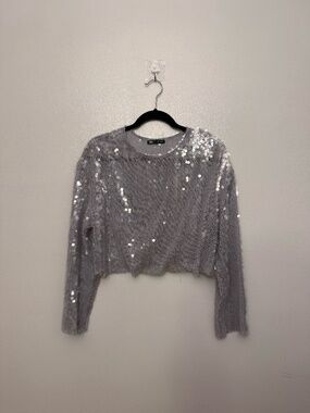 Zara Silver Sequin Crop Top (Small) - NWOT